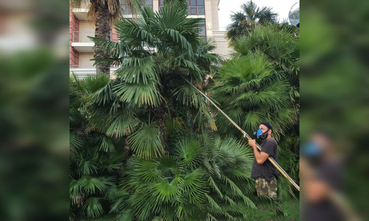    Фото t.me/mcusochi