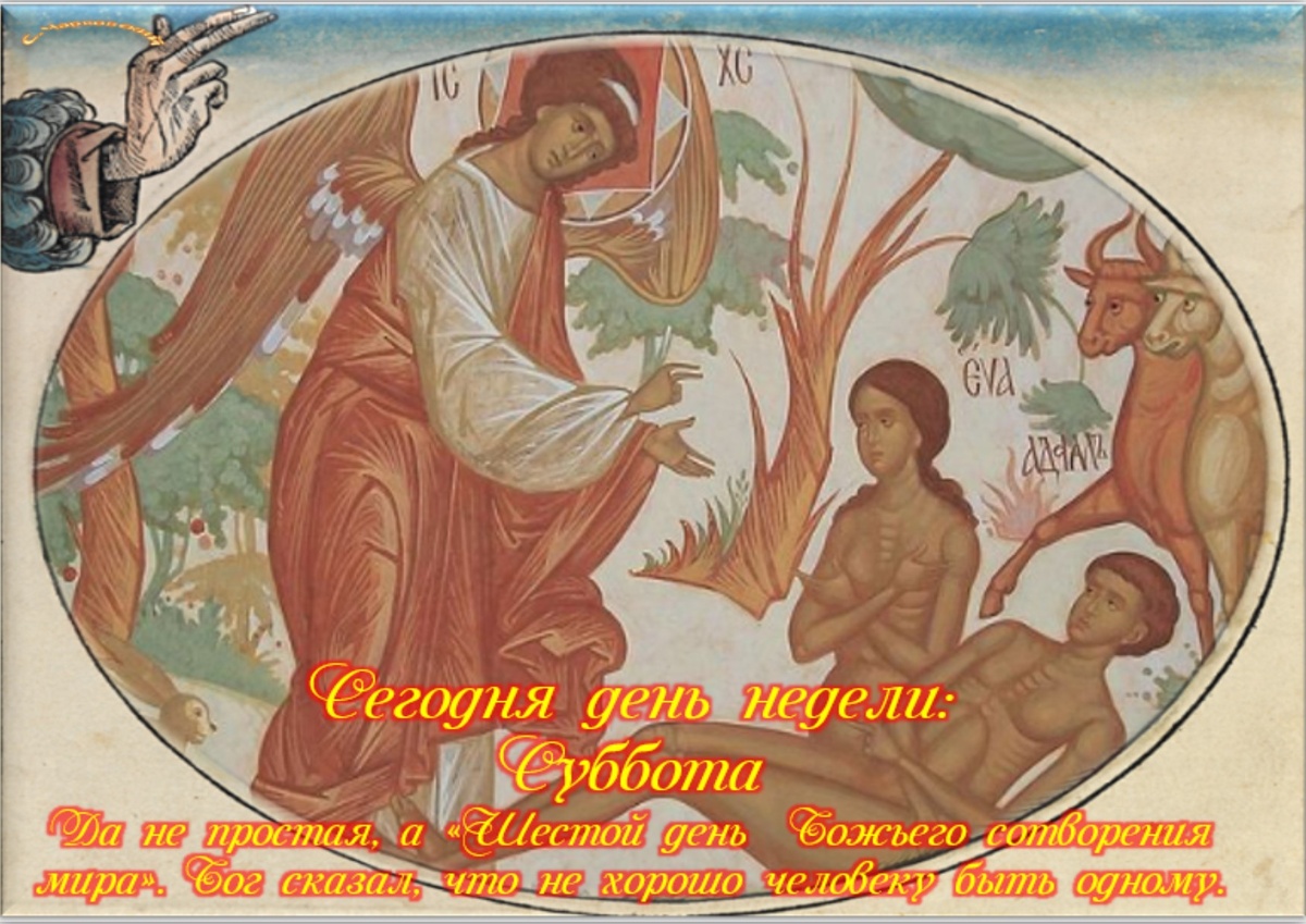 Встречаем новый день