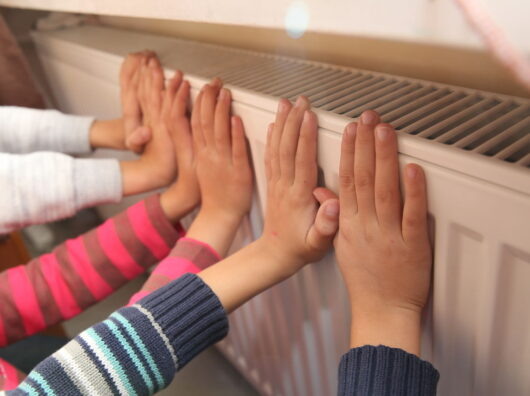    // фото: spbdnevnik.ru