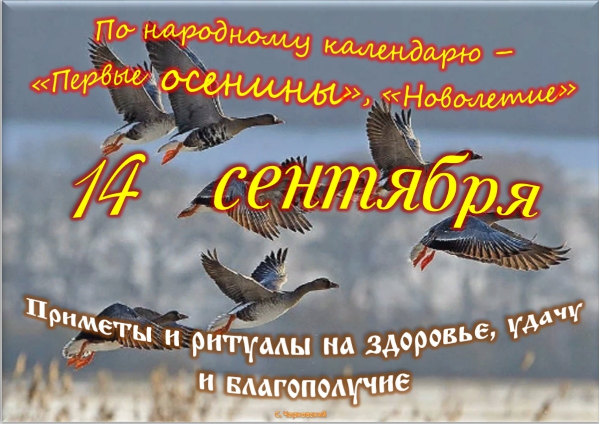 Встречаем новый день