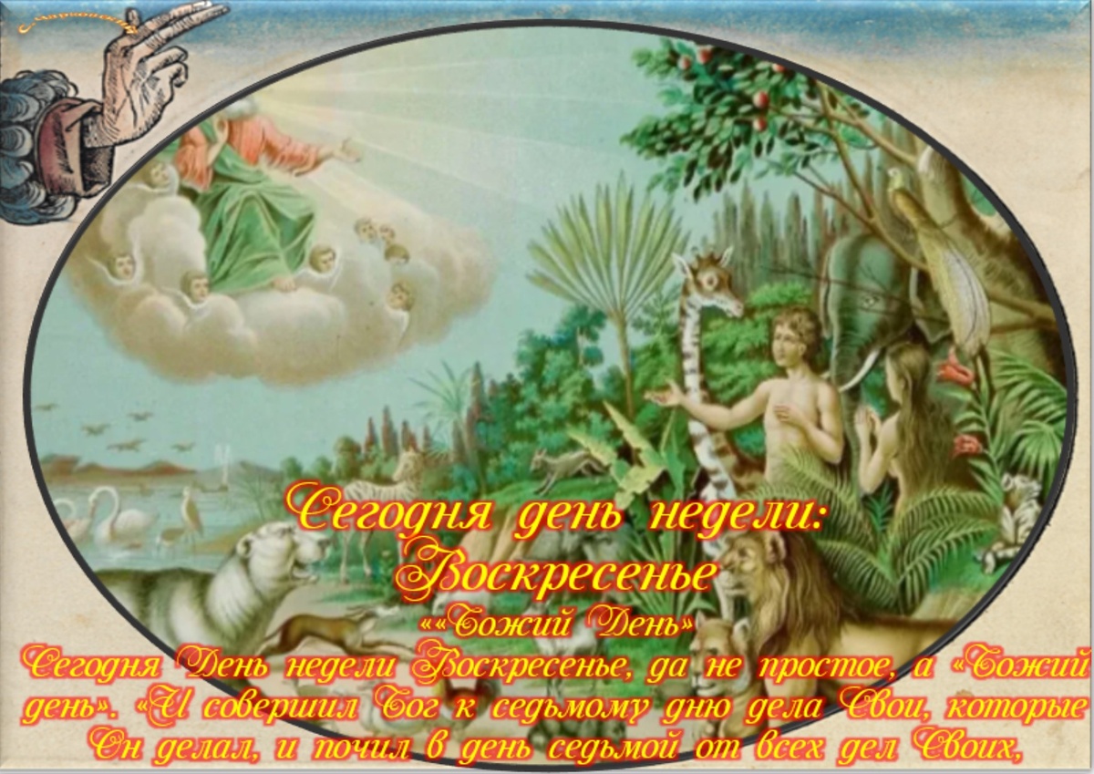 Встречаем новый день