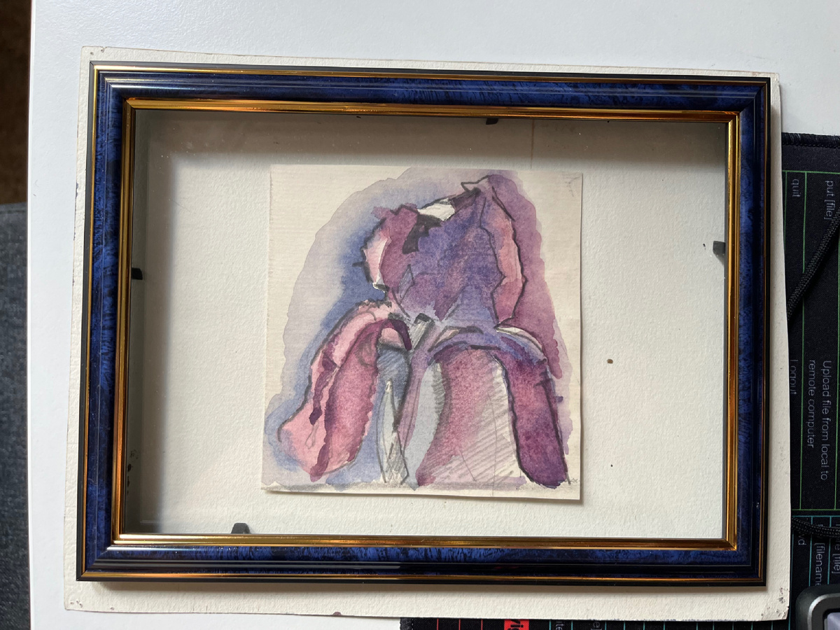 «Акварельный этюд с ирисом». Художник Кузнецов А.Т. 