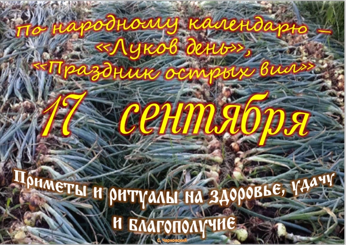 Встречаем новый день