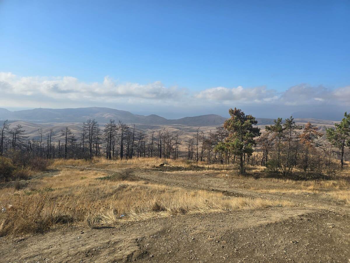 Остановились посмотреть и запечатлеть Крымские пейзажи