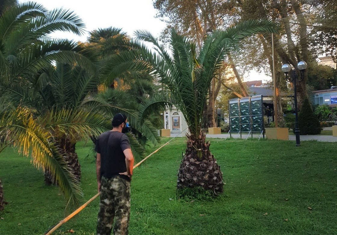    Фото: пресс-служба МЦУ Сочи