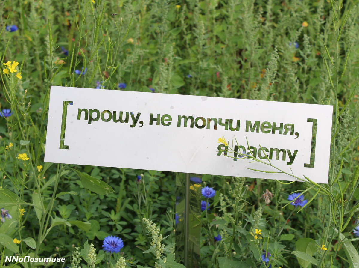 Хорошая трава...