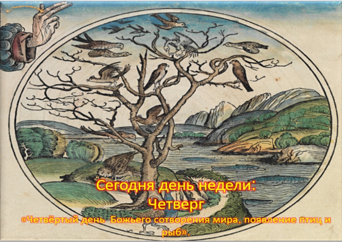 Встречаем новый день