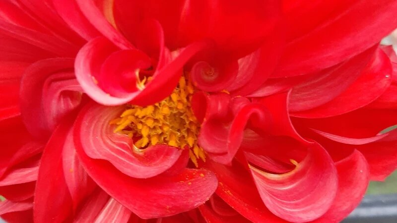     Осень. Лариса Васильева