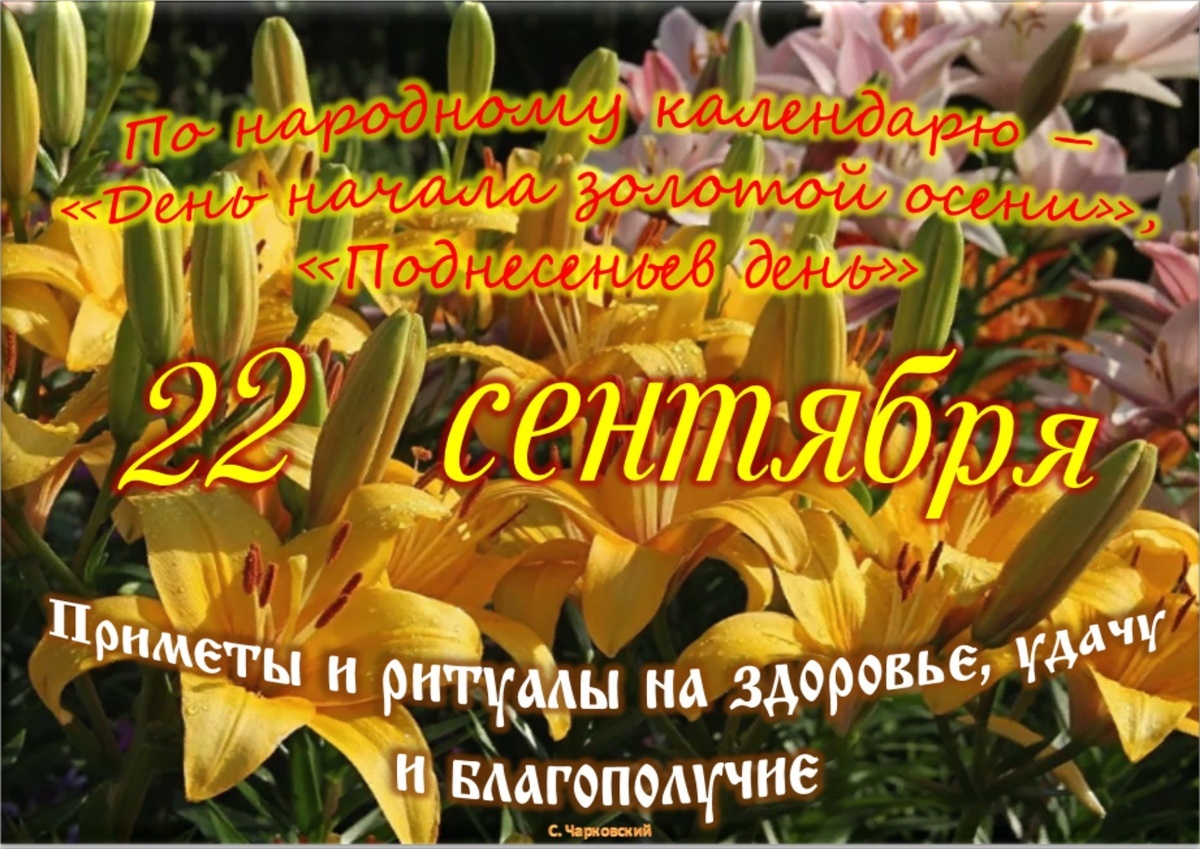 Встречаем новый день
