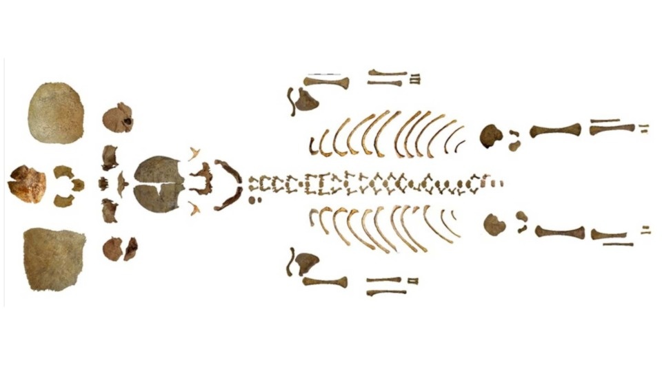   Fernandez-Viejo Marta et al. / Childhood in the Past, 2025