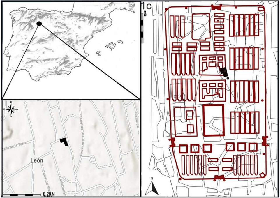   Fernandez-Viejo Marta et al. / Childhood in the Past, 2025