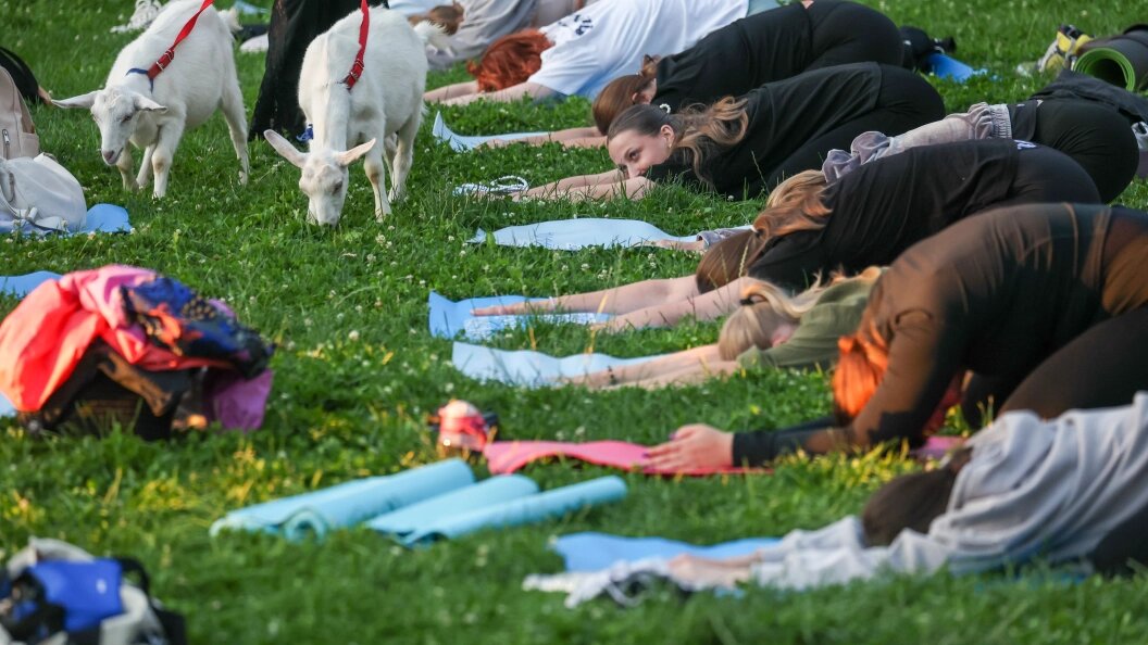    Фото: Belkin Alexey/news.ru/Globallookpress