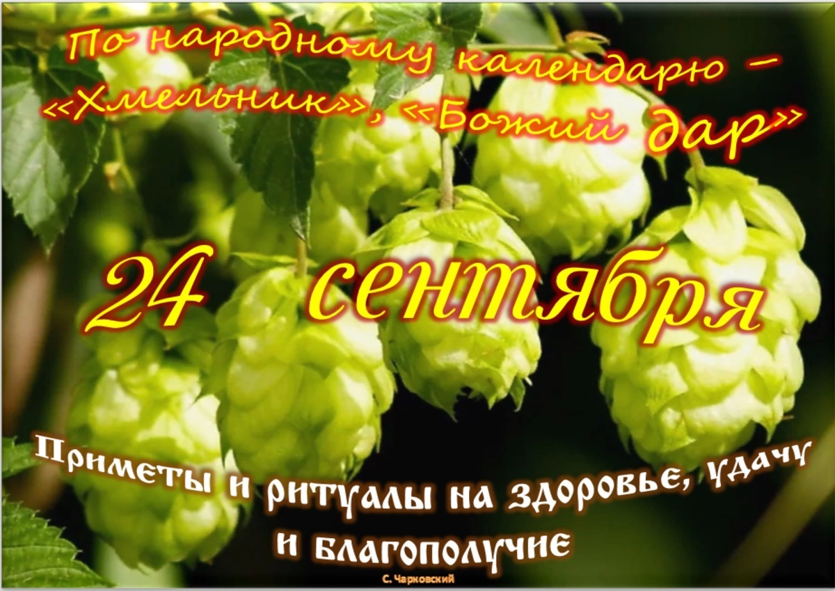 Встречаем новый день