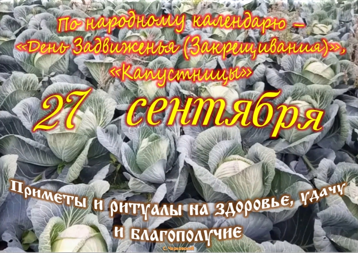 Встречаем новый день