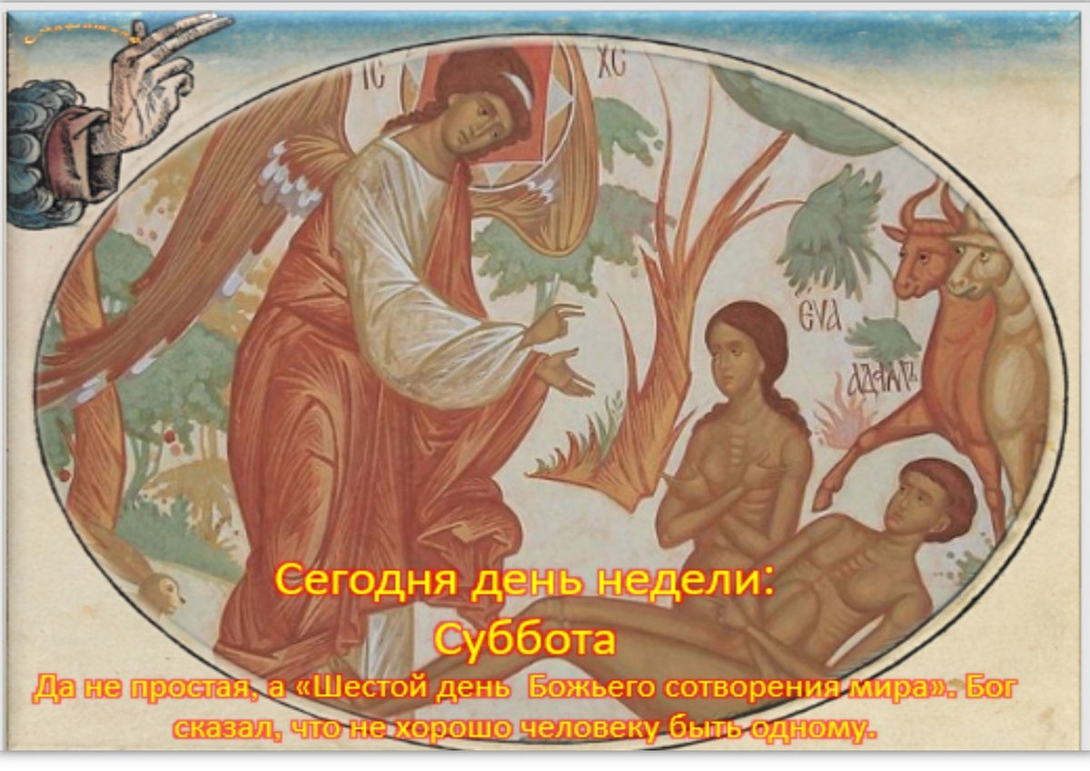 Встречаем новый день