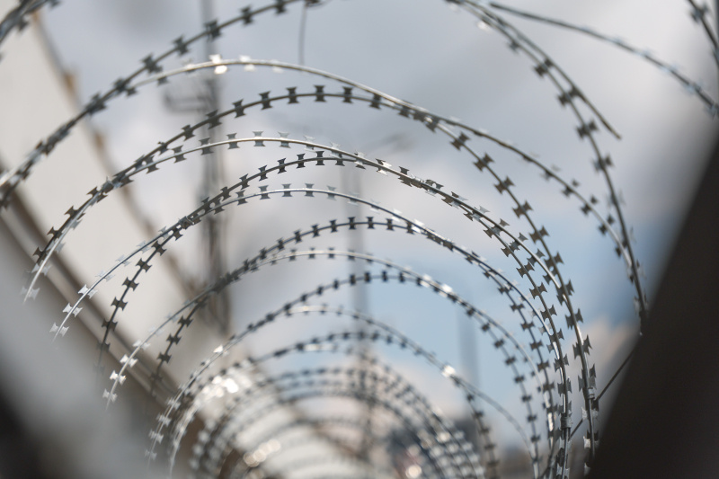    Фото: Belkin Alexey/news.ru/globallookpress