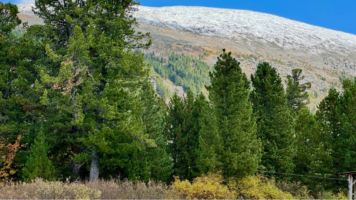 Природа - не передать словами...