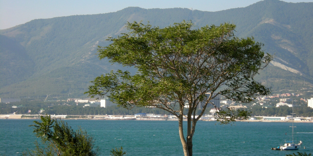 Стоит ли переезжать в Геленджик на ПМЖ: жизнь у моря без фильтров