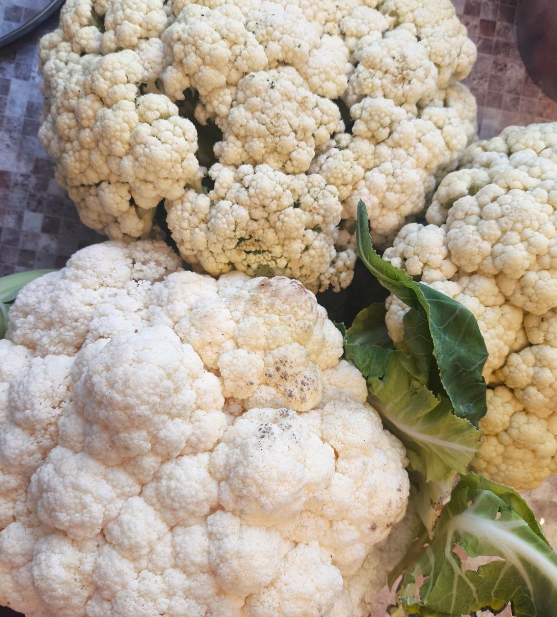 Красавица капустка.