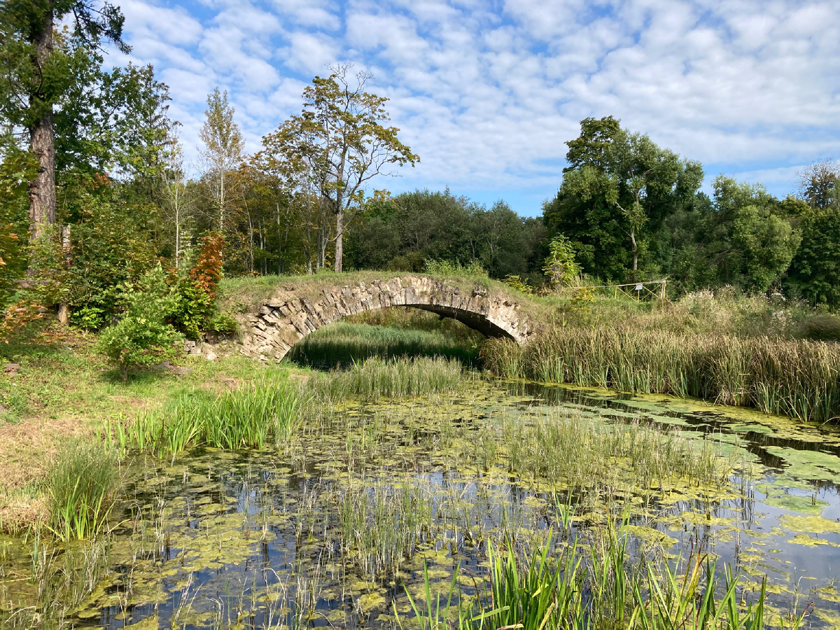 Горбатый мостик