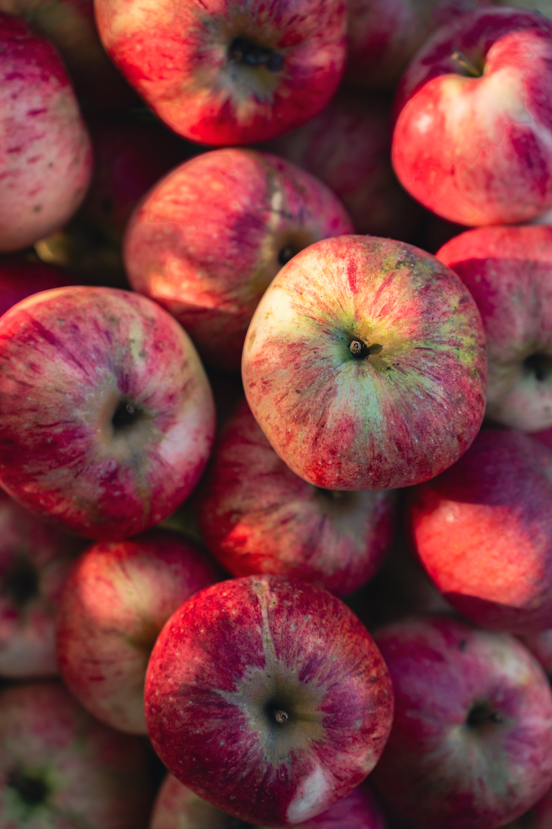 Розовый сорт наших садовых яблок. Они долго не хранятся.