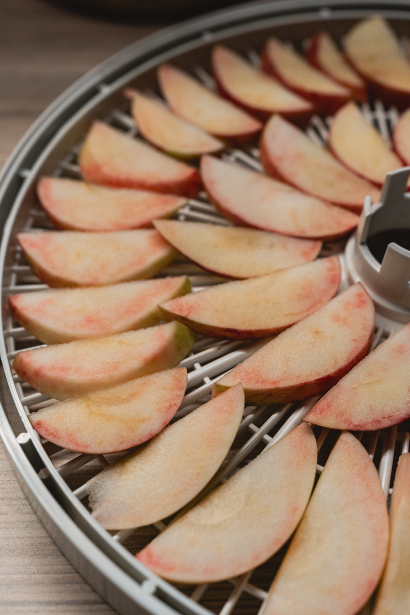Яблочные дольки на уровне дегидратора