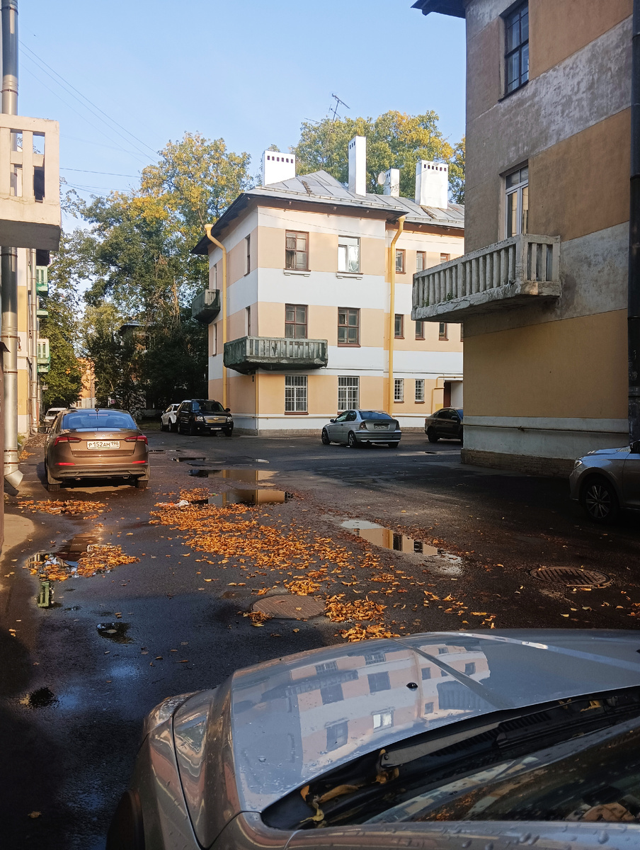 Во дворе дома. Все фото автора. 