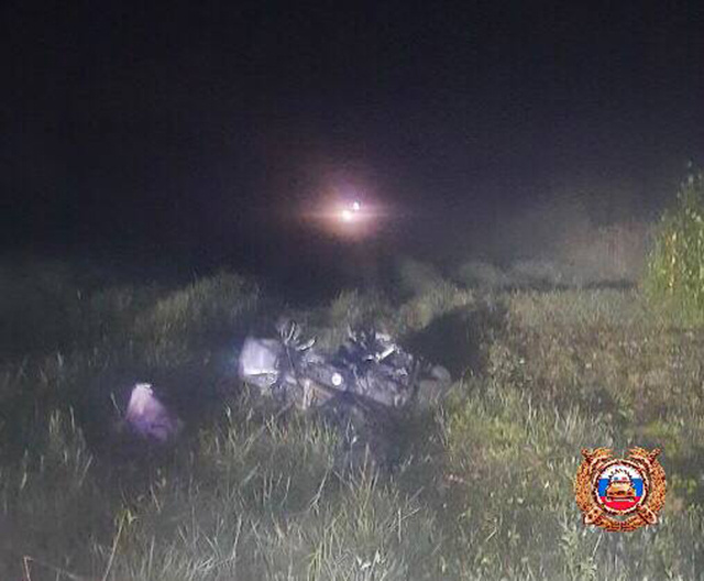 Мотоциклист погиб от столкновения с лосем в Тверской области