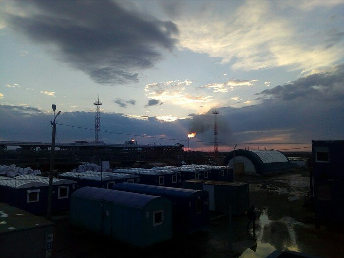 Источник: userapi.com