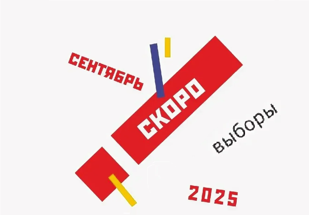    Фото: телеграм-канал избирательной комиссии Ростовской области Марина Ецкова