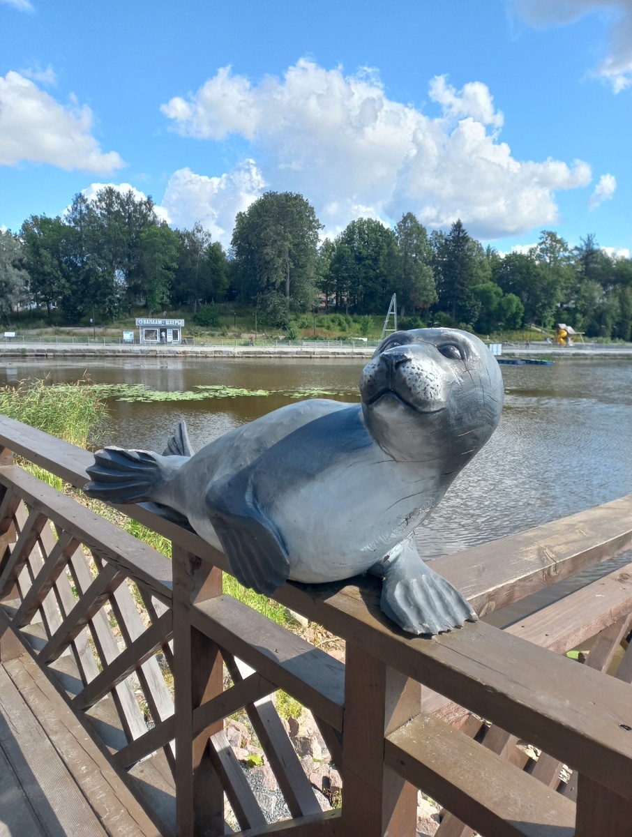 Нерпочка на станции встречает поезда