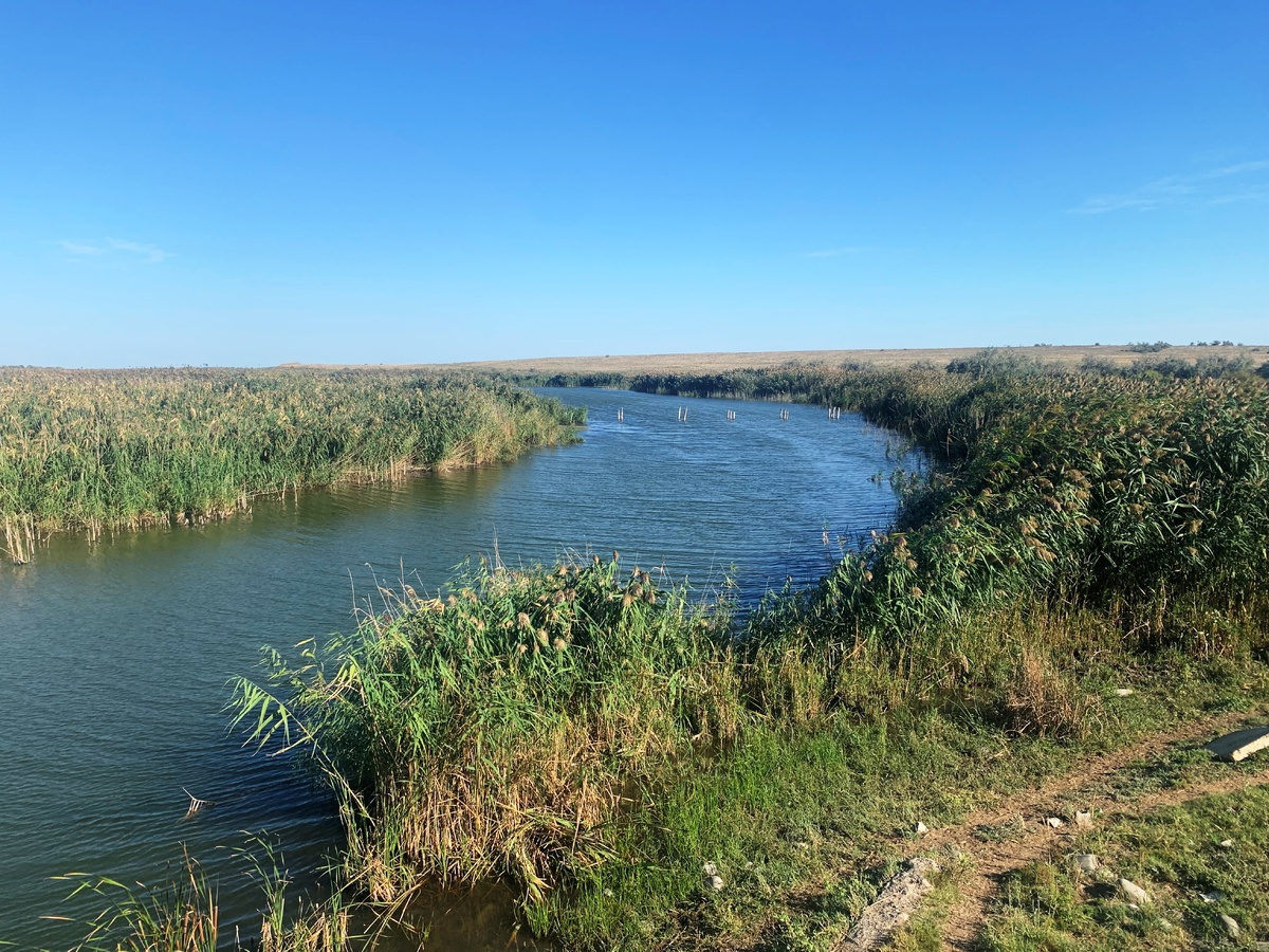    Фото: Дума Астраханской области, источник: astroblduma.ru