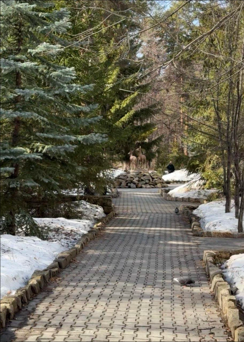 Источник: гость курорта «Увильды»