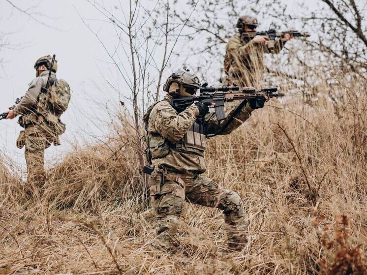 Фото: ru.freepik