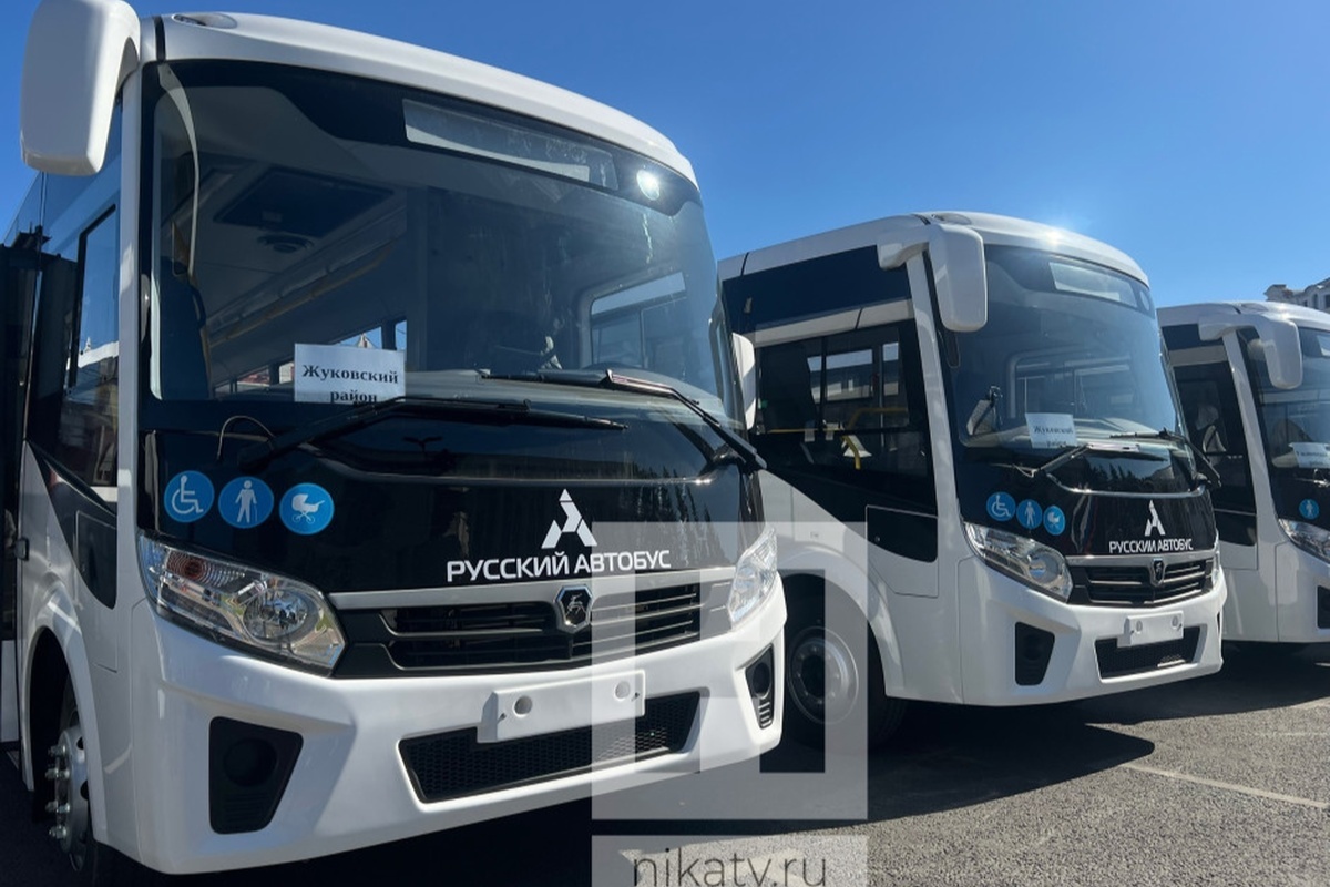    Фото: Алиса Куличенко, источник: nikatv.ru