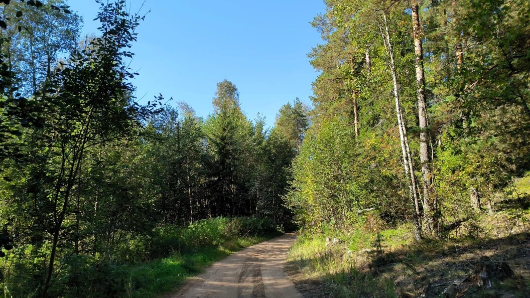    © Maksim Konstantinov/Globallookpress