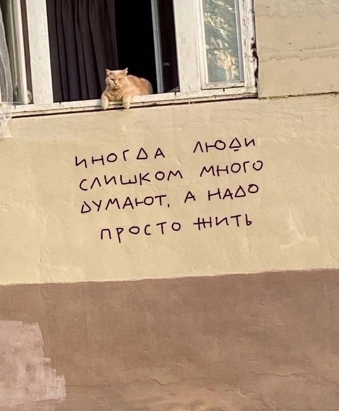 иллюстрация из яндекс картинки.