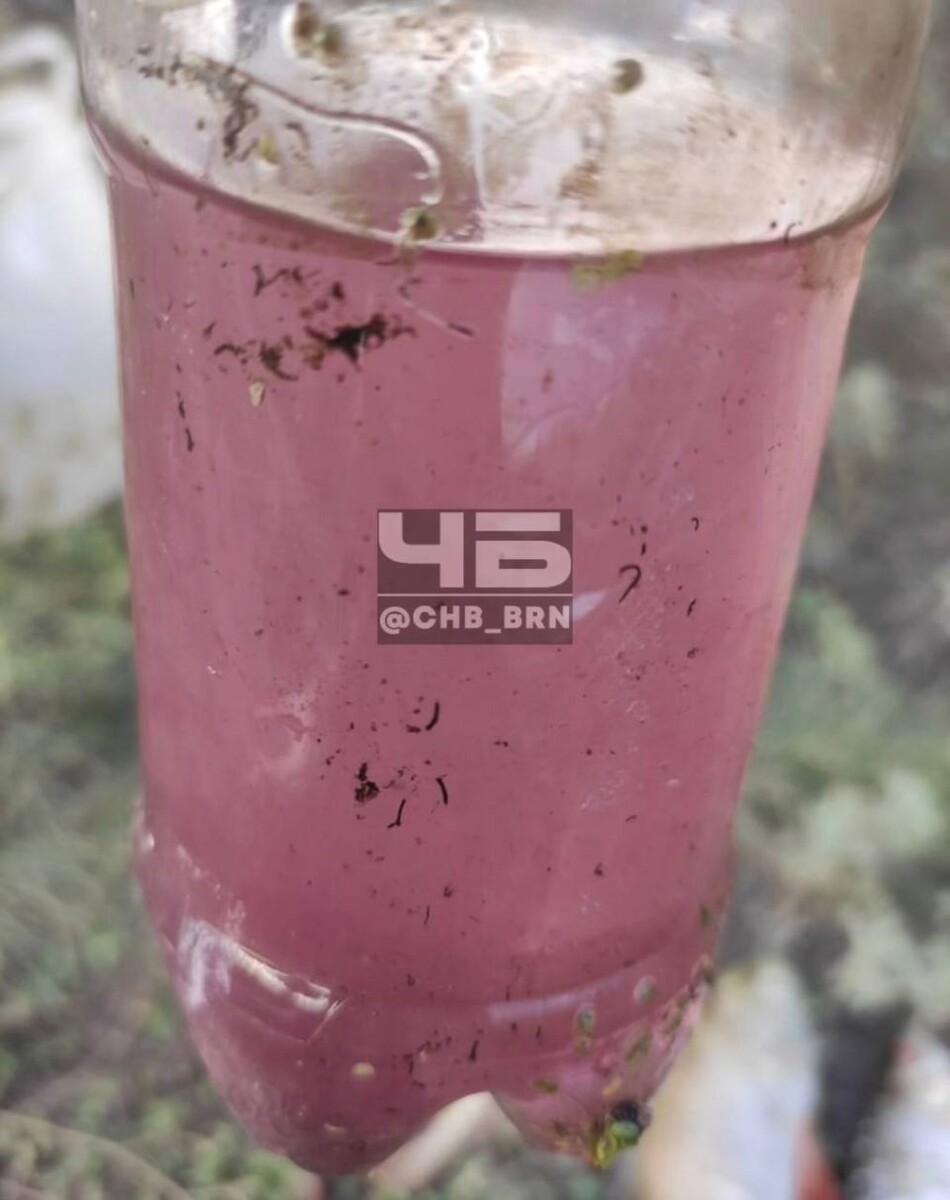    Вода из реки Кучук. Источник: t.me/chb_brn