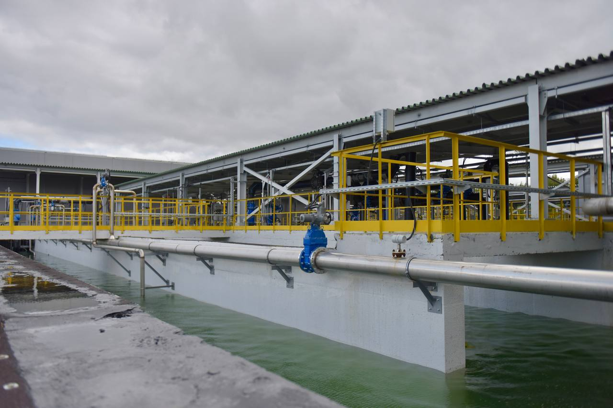     Фото: телеграм-канал «Денис Паслер»