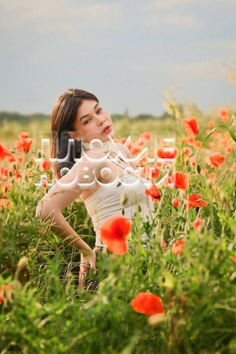 Автор: В. Панченко