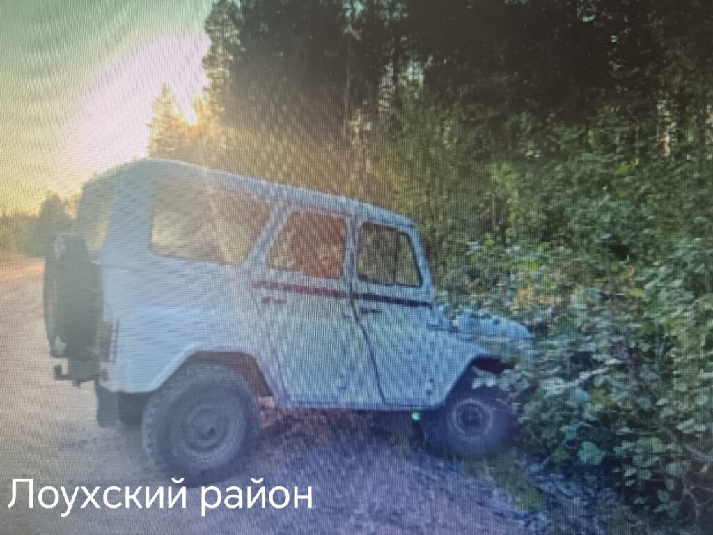    Фото: Госавтоинспекция Карелии / ВК