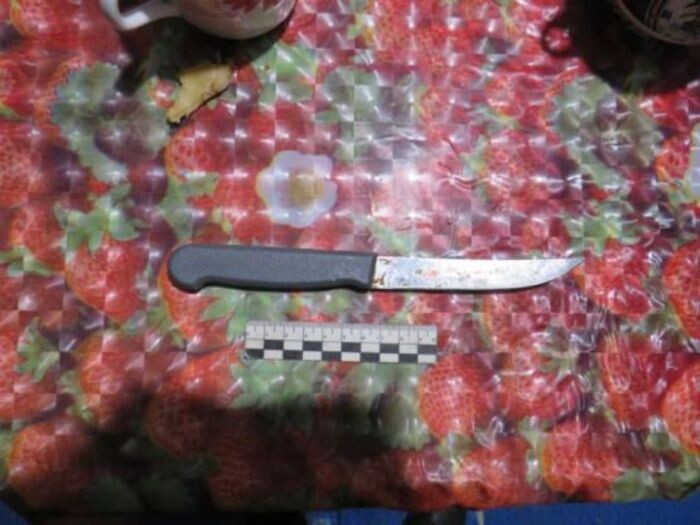 Иллюстрация: ГУ МВД по РО