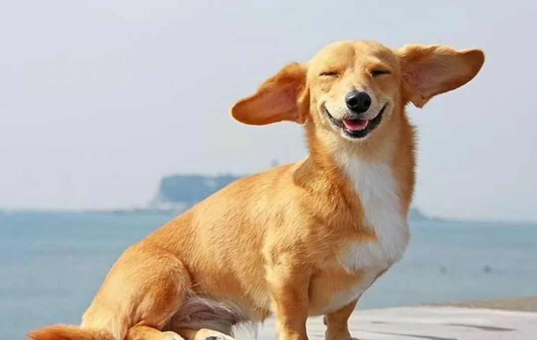 Фото из интернета