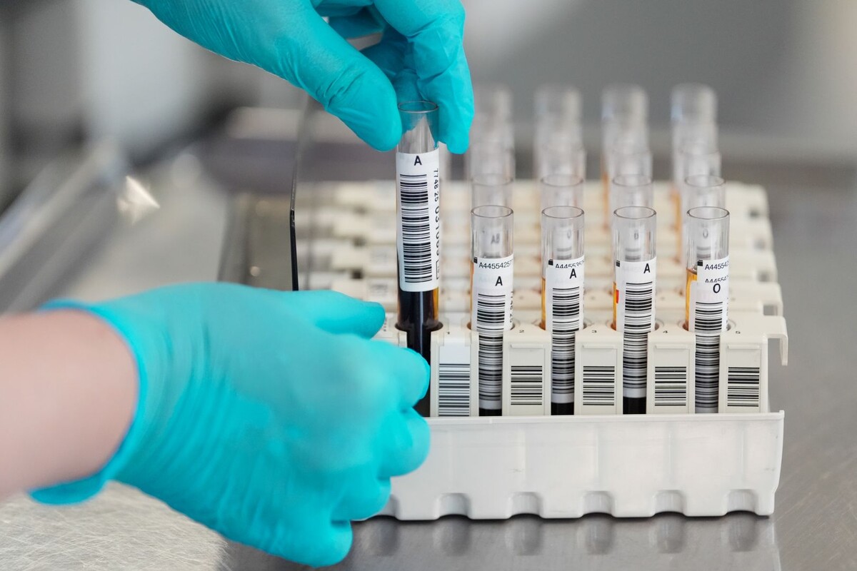     / Источник: © ИЗВЕСТИЯ/Эдуард Корниенко