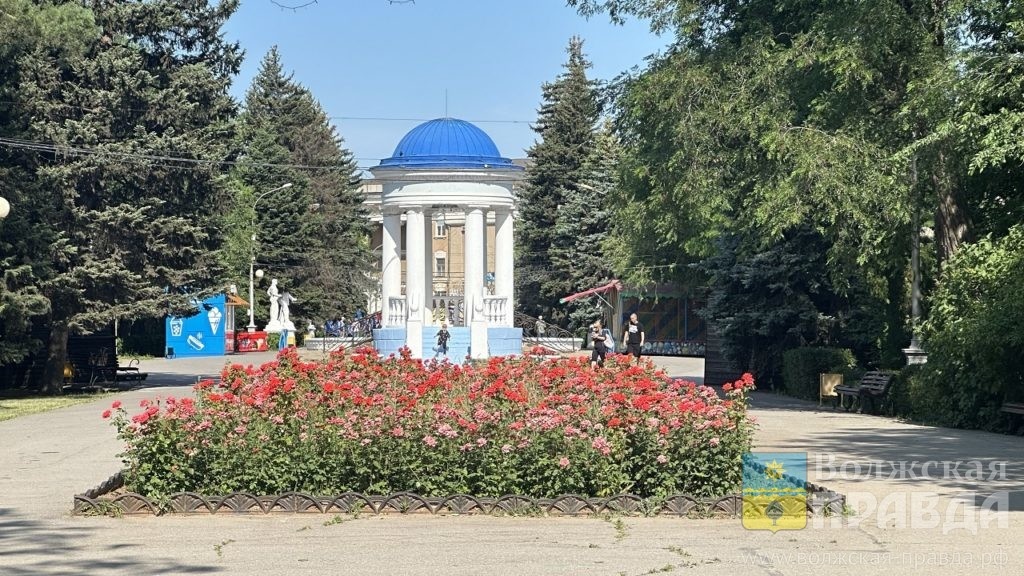     Что посмотреть в Волжском с 12 по 14 сентября: афиша мероприятий
