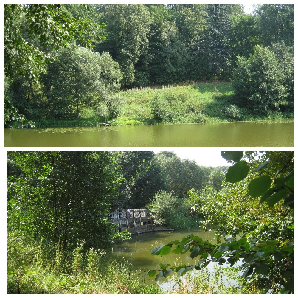Река Пахра в Горках (фото автора).