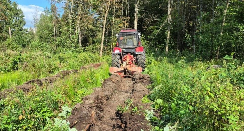    Комитет лесного хозяйства Московской области