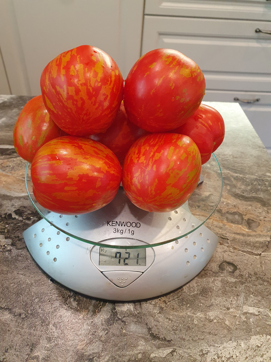 Пасхальное яйцо