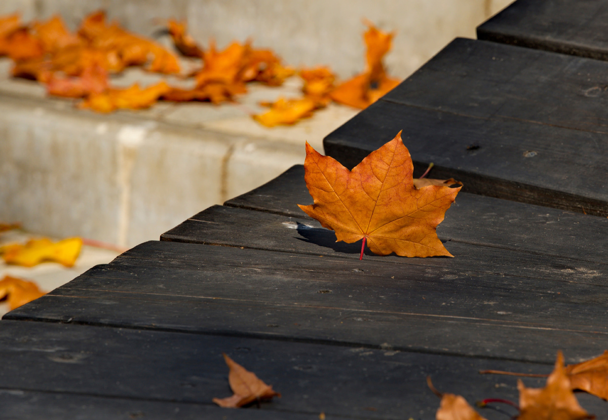 Фото: Shutterstock