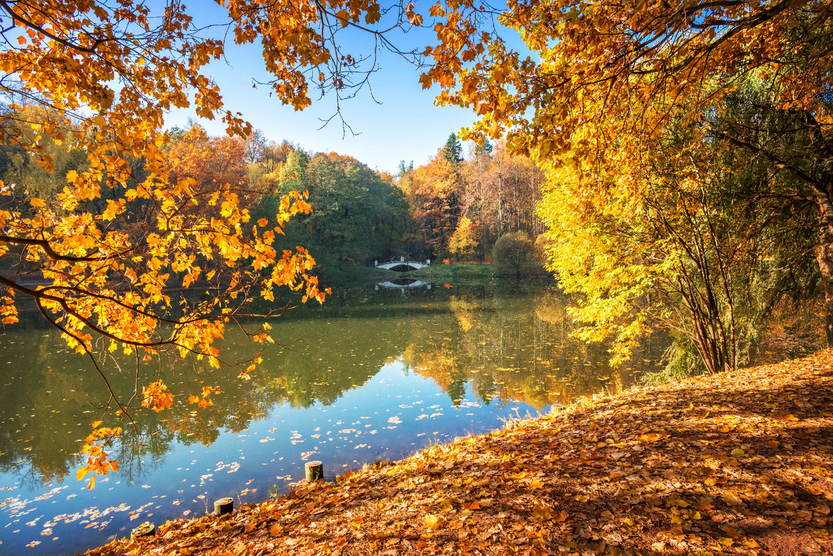 Фото: Shutterstock